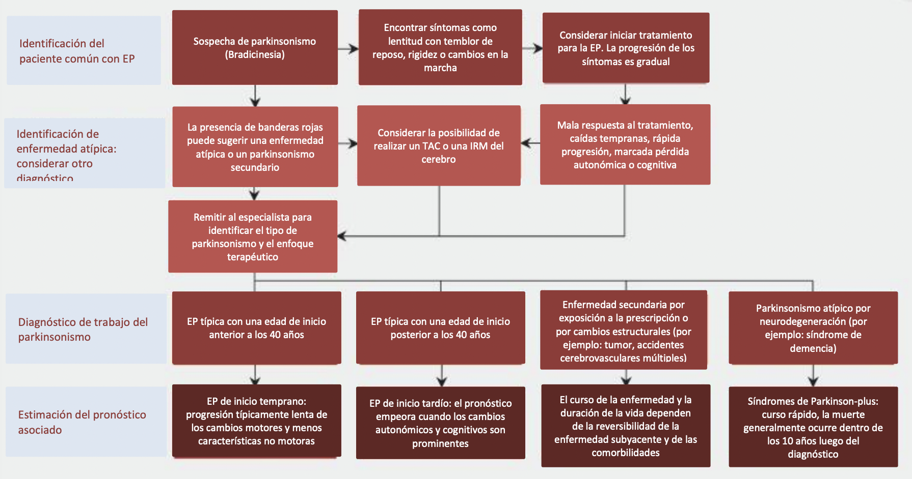 Diagnóstico Y Tratamiento De La Enfermedad De Parkinson 0048